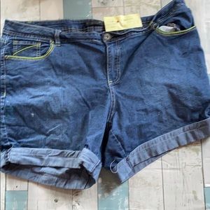 Vintage Lane Bryant y2k plus sized denim shorts